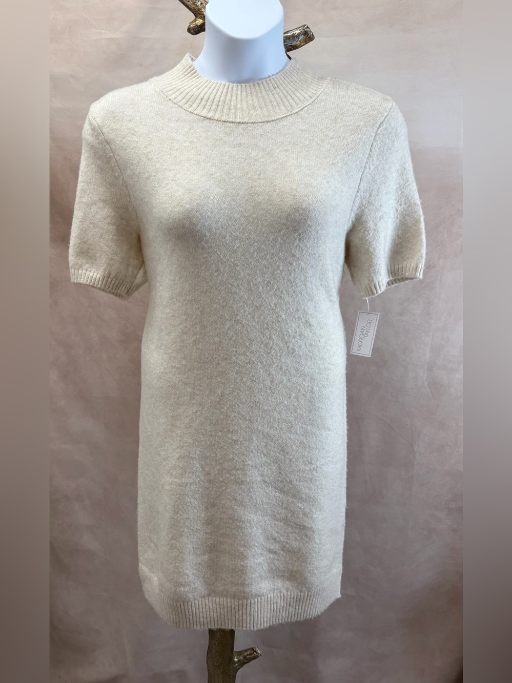 NWT Morgan Taylor Oatmeal Short Sleeve Sweater Dress Size XL